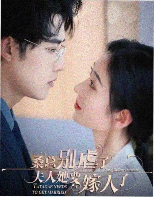 回声档案 剧照